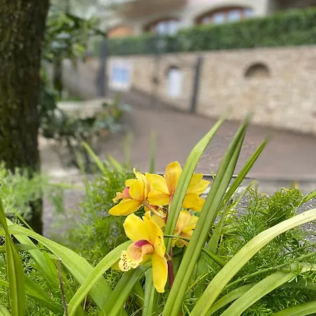 Appartement Gianna 3 *